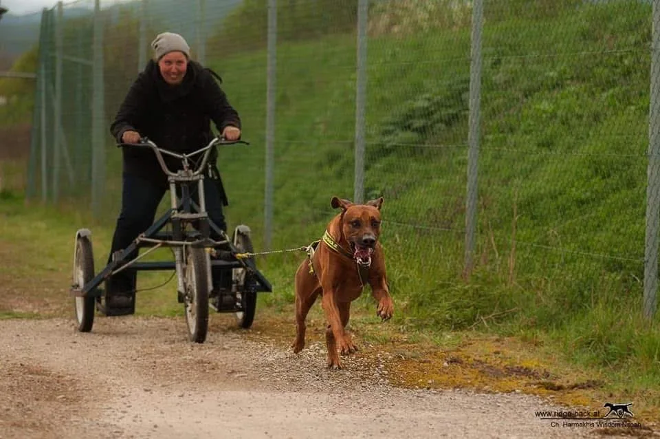 Voor de bike