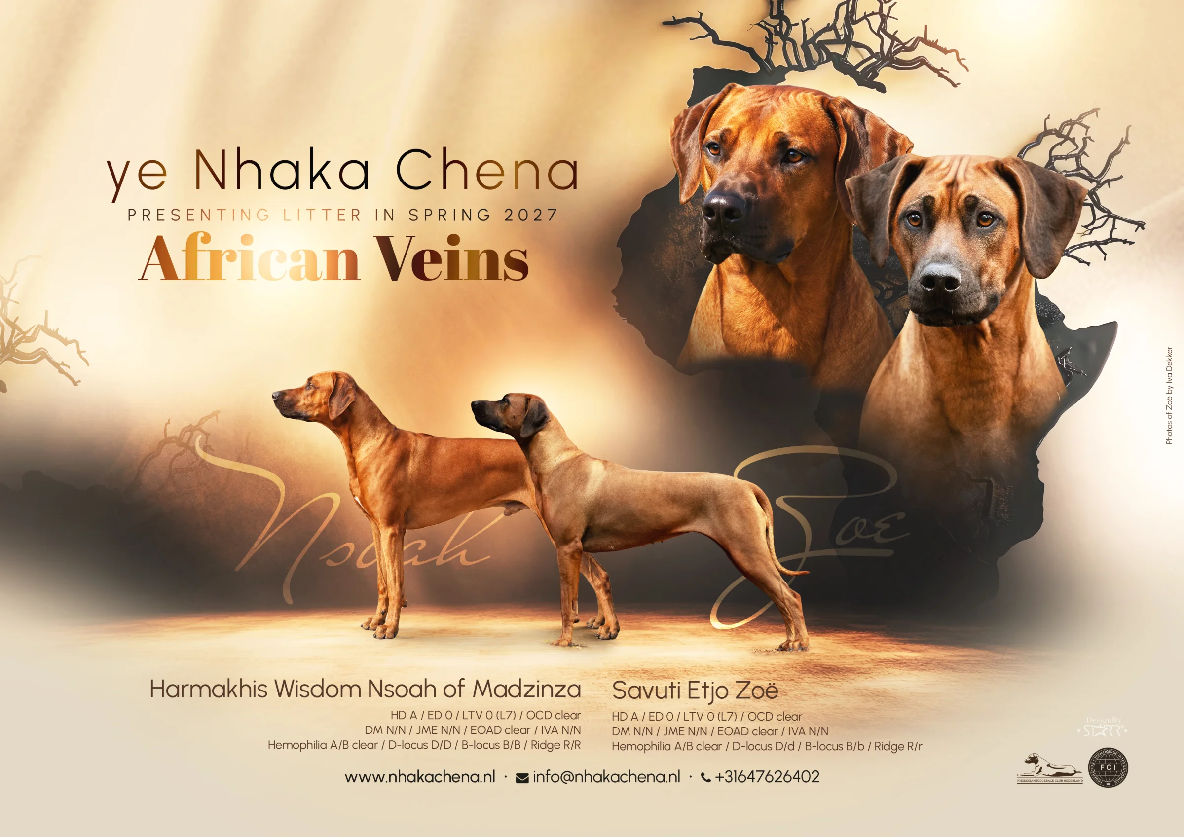 Nestaankondiging African Veins: Harmakhis Wisdom Nsoah of Madzinza en Savuti Etjo Zoë, voorjaar 2027